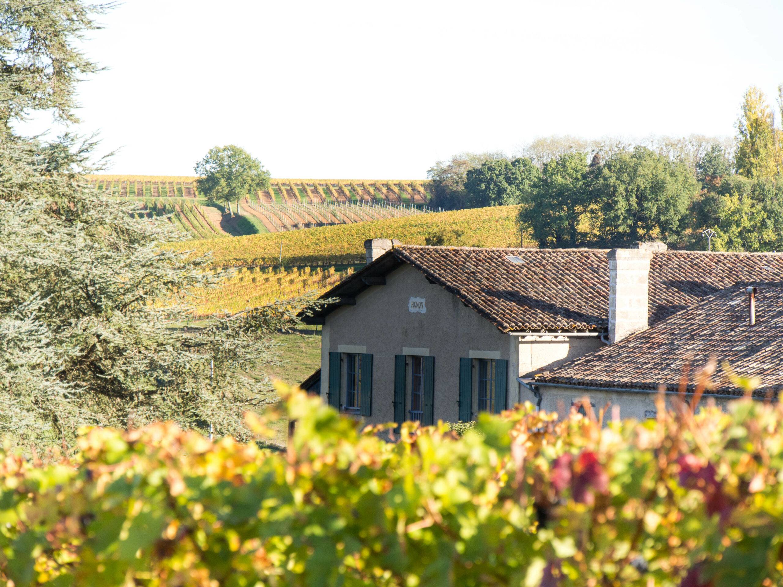 AU coeur des vignes